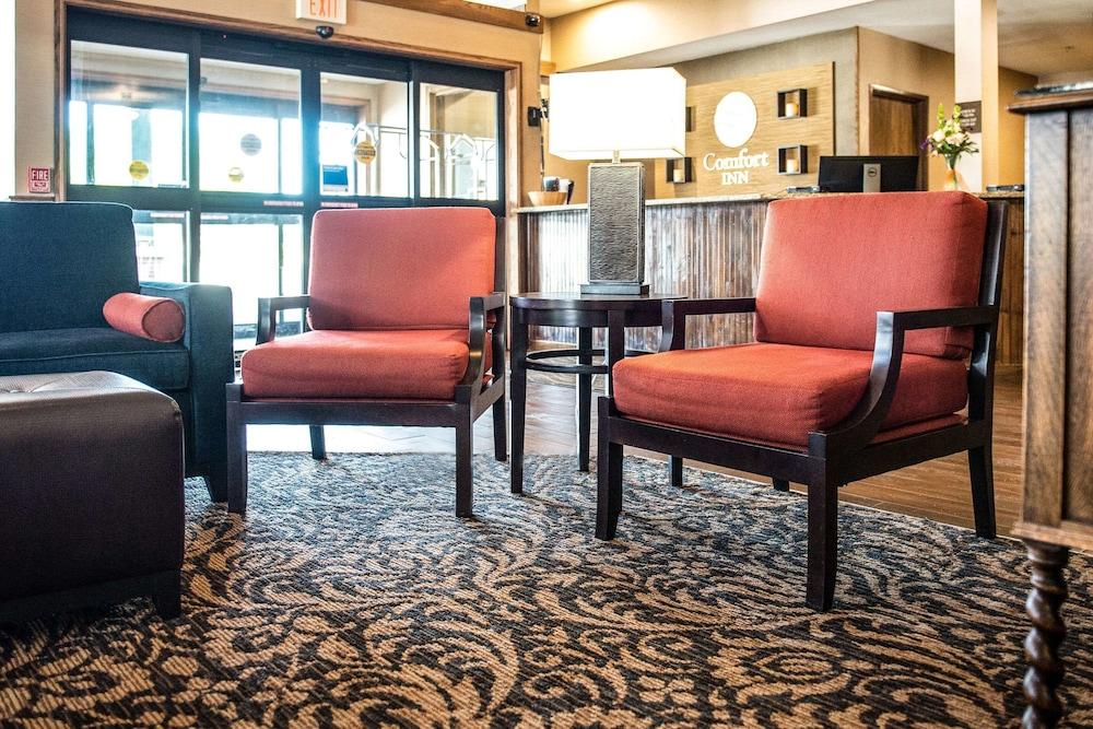 Comfort Inn Marshall Station Εξωτερικό φωτογραφία